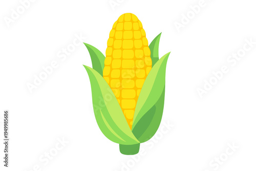 A vector illustration of a fresh ear of corn with bright yellow
