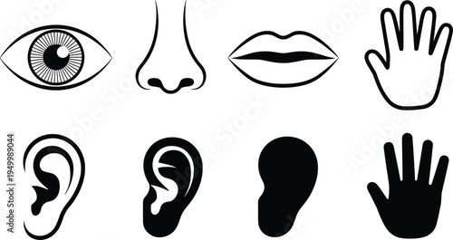 Human body parts icons set with eye nose lips ear and hand outline and silhouette symbols for anatomy, medical education and health design