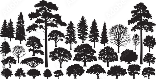 Large Set of Tree Silhouettes Including Pine and Deciduous Forest Trees
