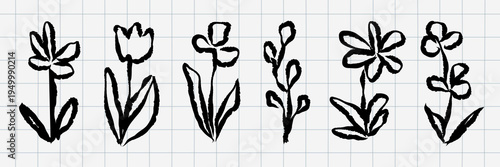 Hand-drawn flowers, simple floral sketches, black ink on grid paper. Floral designs, flowers with leaves, hand-drawn art, artistic flower sketches. Hand drawn botanical illustrations vector set.