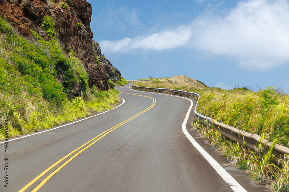 Fototapeta premium Winding asphalt road in Hawaii