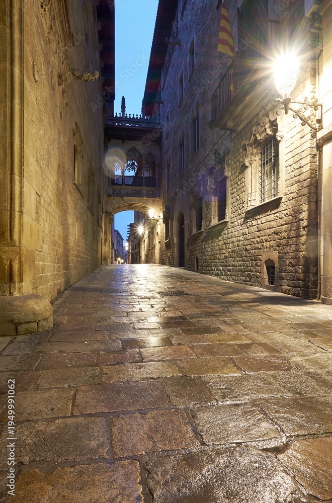 Obraz premium Pont del Bisbe in Barcelona Gothic Quarter at dusk with glistening cobblestone street