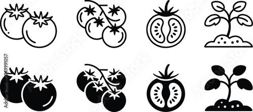 Tomato vegetable plant growth and slice icon set, fresh organic farming food outline and solid vector icons collection