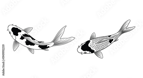 Four black koi fish swimming in a dynamic artistic arrangement