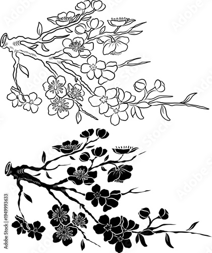 Free hand Sakura flower vector set, Beautiful line art Peach blossom isolate on white background.Cherry blossom illustration set.Element for weding card or printing on backdrop.