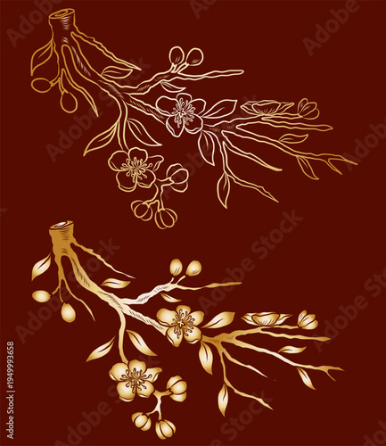 Free hand Sakura flower vector set, Beautiful line art Peach blossom isolate on white background.Cherry blossom illustration set.Element for weding card or printing on backdrop.