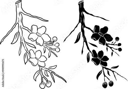 Free hand Sakura flower vector set, Beautiful line art Peach blossom isolate on white background.Cherry blossom illustration set.Element for weding card or printing on backdrop.