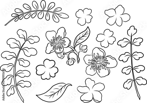 Free hand Sakura flower vector set, Beautiful line art Peach blossom isolate on white background.Cherry blossom illustration set.Element for weding card or printing on backdrop.