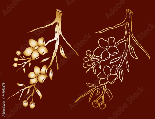 Free hand Sakura flower vector set, Beautiful line art Peach blossom isolate on white background.Cherry blossom illustration set.Element for weding card or printing on backdrop.
