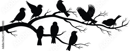 Silhouettes of Birds Perched on a Tree Branch Against White Background nature wildlife