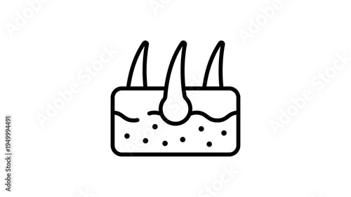 A trendy outline icon animation of hair scalp structure
