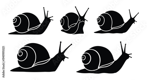 Stylized black and white illustration of six garden snails crawling