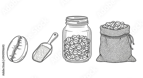 A hand-drawn illustration depicting the journey of coffee beans from a single bean to a burlap sack.