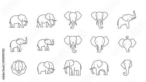 Set of elephant icons, large mammal, geometric, outline, line, style, vector, illustration, african, indian