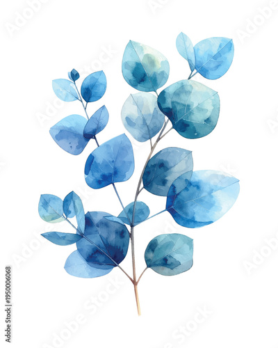 Blue eucalyptus branch with leaves botanical illustration boho watercolor plants for tranquil decor
