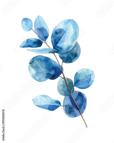 Blue eucalyptus branch with leaves botanical illustration boho watercolor plants for tranquil decor