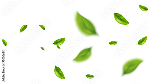green leaf flying vector background