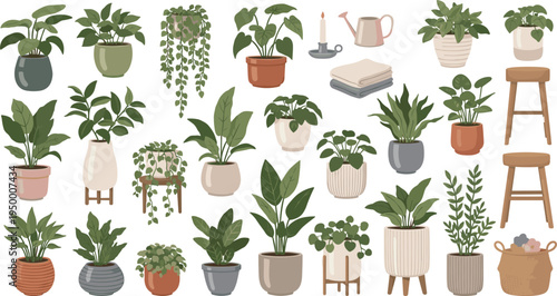 Cartoon Indoor Houseplants and Cozy Home Decor Collection with Potted Greenery Hanging Vines Stools and Botanical Interior Elements
