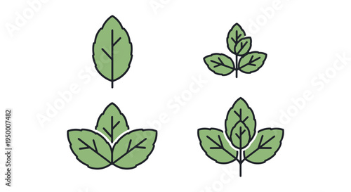 Spearmint Line art vector set creative fluid abstract illustration