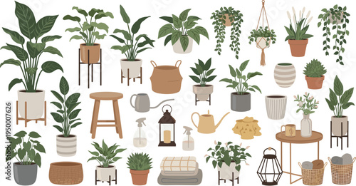 Cartoon Indoor Houseplants and Home Decor Collection with Potted Greenery Hanging Vines Furniture Baskets Lanterns and Cozy Botanical Interior Elements