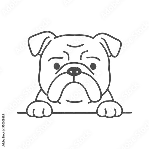 Sad bulldog peeking over a surface with its paws