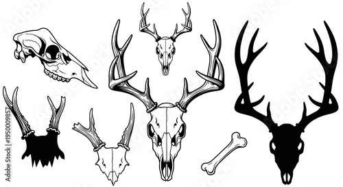 Deer Skull and Antlers Hunting Graphic Vector Set
