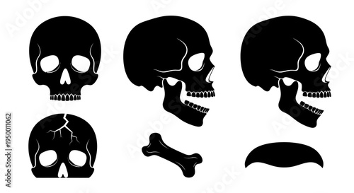 Black and White Vector Skull and Crossbones Icons for Halloween and Danger