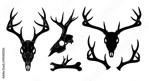 Black Silhouette Deer Skulls and Antlers, Hunting Vector Art