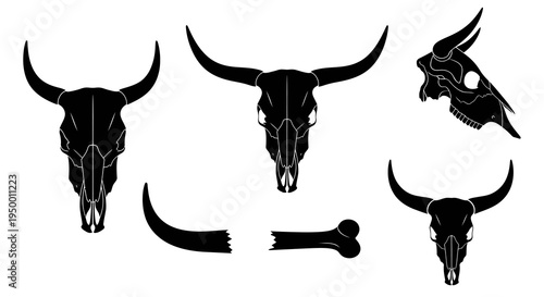 Black cow skulls and bone set, western vector graphics