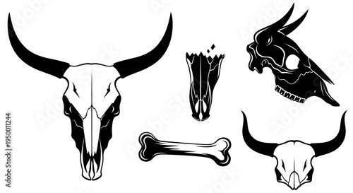 Black and White Skull and Bone Icons