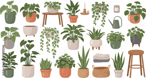 Cartoon Indoor Houseplants and Home Decor Collection with Potted Greenery Hanging Vines Furniture and Botanical Elements for Cozy Interior Vector Design