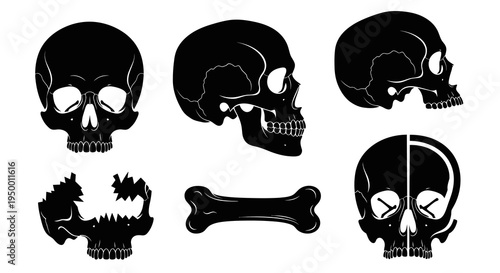 Black and white graphic illustration of skulls and crossbones