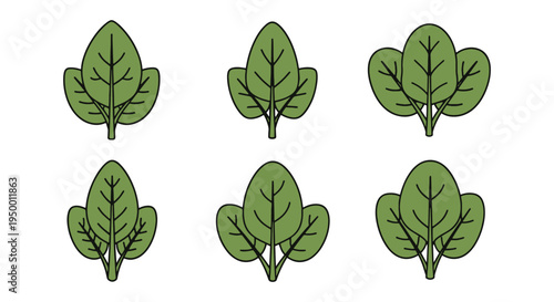Spinach Leaf Line art vector clean artistic abstract illustration