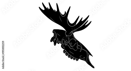 Black and White Moose Skull Antler Line Art Vector Illustration