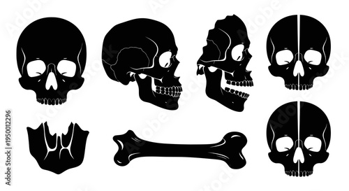 Black  White Glyph Skulls and Bone Vector Icons