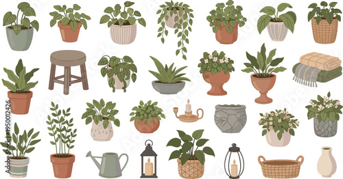 Cartoon Indoor Houseplants and Home Decor Collection with Potted Greenery Furniture Lanterns Textiles and Botanical Elements for Cozy Interior Vector Design