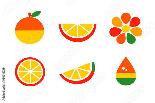 A collection of six stylized citrus fruit icons featuring oranges