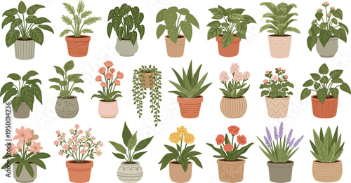 Cartoon Indoor Houseplants and Blooming Flowers Collection with Decorative Pots Tropical Foliage Hanging Vines and Succulents for Botanical Vector Design
