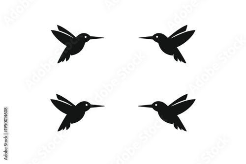 A collection of four minimalist hummingbird silhouettes in black