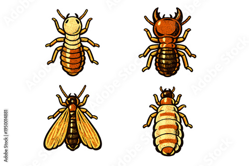 Four detailed vector illustrations of termites in various life