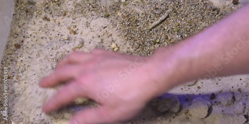 Aquascaping shallow aquarium