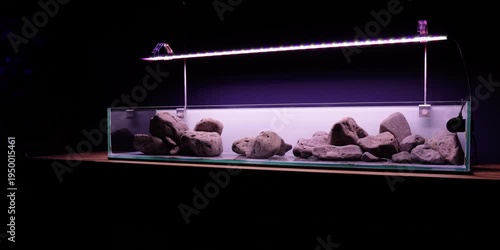 Aquascaping shallow aquarium