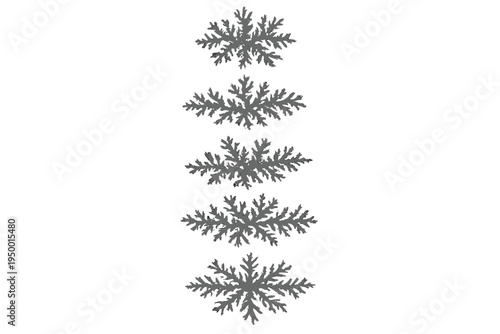Set of five grey frost-like dendritic patterns isolated on a white