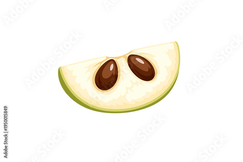 A vector illustration of a fresh cherimoya slice isolated on a white