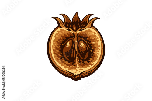 A stylized vector illustration of a fruit cross-section in warm brown