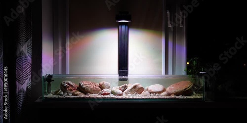 Aquascaping shallow aquarium