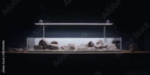 Aquascaping shallow aquarium