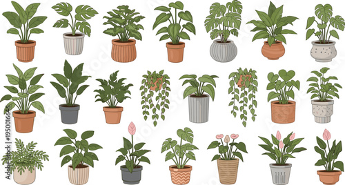 Cartoon Indoor Houseplants Collection with Decorative Flowerpots Hanging Planters and Tropical Green Foliage for Home Decor, Botanical Design, Nursery Prints, and Vector Illustrations