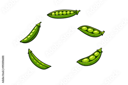 Vector illustration of green pea pods isolated on a white background
