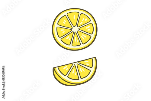 A vector illustration featuring a round slice and a wedge of a fresh